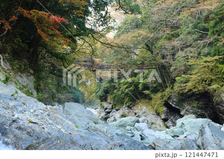 祖谷のかずら橋 ／ 日本三奇橋【徳島県三好市西祖谷山村善徳】 121447471