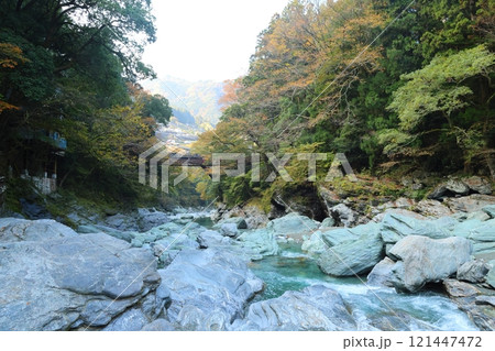 祖谷のかずら橋 / 日本三奇橋【徳島県三好市西祖谷山村善徳】 祖谷のかずら橋 / 日本三奇橋【徳島県三好市西祖谷山村善徳】 121447472