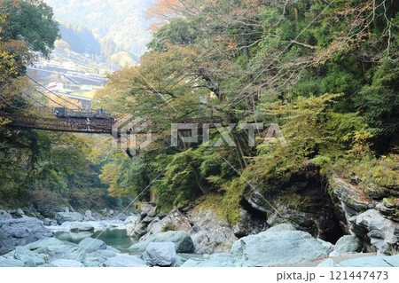 祖谷のかずら橋 / 日本三奇橋【徳島県三好市西祖谷山村善徳】 祖谷のかずら橋 / 日本三奇橋【徳島県三好市西祖谷山村善徳】 121447473