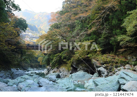 祖谷のかずら橋 ／ 日本三奇橋【徳島県三好市西祖谷山村善徳】 121447474