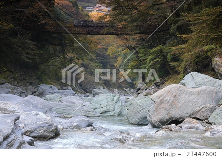 祖谷のかずら橋 / 日本三奇橋【徳島県三好市西祖谷山村善徳】 祖谷のかずら橋 / 日本三奇橋【徳島県三好市西祖谷山村善徳】 121447600