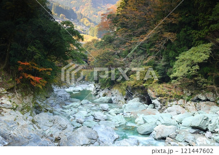 祖谷のかずら橋 ／ 日本三奇橋【徳島県三好市西祖谷山村善徳】 121447602