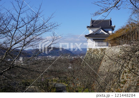 岡山県津山市にあるさくら名所100選のひとつ「鶴山公園(津山城趾)」:落葉の季節 岡山県津山市にあるさくら名所100選のひとつ「鶴山公園(津山城趾)」:落葉の季節 121448284