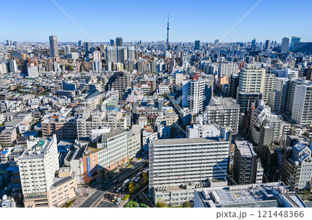 東京都の都市風景とスカイツリー 121448366