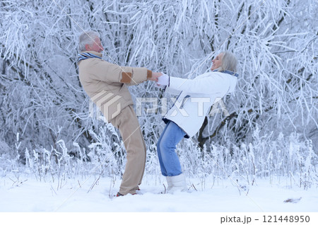 An elderly couple walks in a winter park 121448950