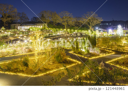 いばらきフラワーパークのイルミネーション いばらきフラワーパークのイルミネーション 121448961
