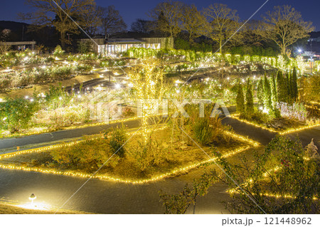 いばらきフラワーパークのイルミネーション いばらきフラワーパークのイルミネーション 121448962