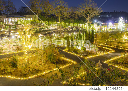 いばらきフラワーパークのイルミネーション 121448964