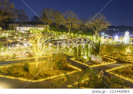 いばらきフラワーパークのイルミネーション 121448965