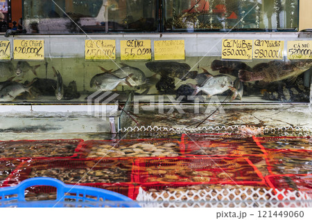 A variety of fresh seafood in aquariums at the street market A variety of fresh seafood in aquariums at the street market 121449060