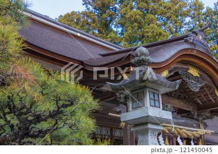 松と燈篭と神社 松と燈篭と神社 121450045