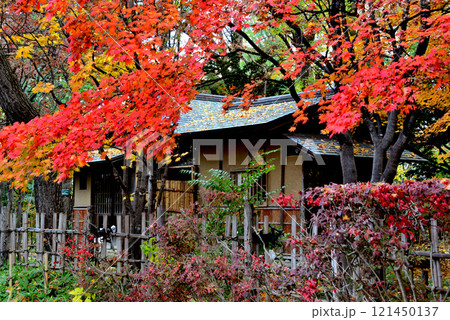 札幌市中島公園内の八窓庵と紅葉 札幌市中島公園内の八窓庵と紅葉 121450137