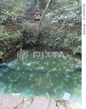 八岐大蛇の神話と縁結びの八重垣神社、奥の院の佐久佐女の森、大杉の跡の占いをする鏡の池、島根県松江市 121450726