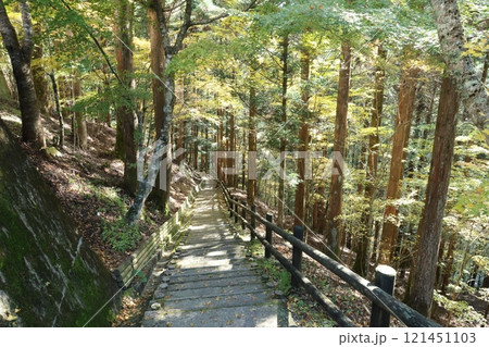奥祖谷二重かずら橋 / 四国八十八景【徳島県三好市東祖菅生】 奥祖谷二重かずら橋 / 四国八十八景【徳島県三好市東祖菅生】 121451103