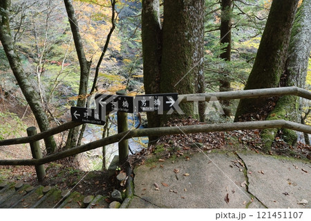 奥祖谷二重かずら橋 ／ 四国八十八景【徳島県三好市東祖菅生】 121451107