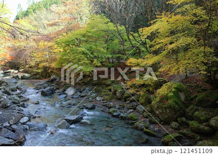 奥祖谷二重かずら橋 ／ 四国八十八景【徳島県三好市東祖菅生】 121451109