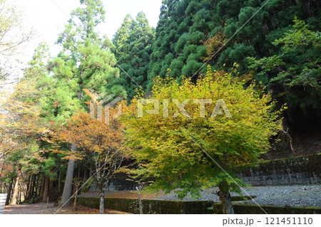 奥祖谷二重かずら橋 ／ 四国八十八景【徳島県三好市東祖菅生】 121451110