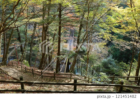 奥祖谷二重かずら橋(男橋) / 四国八十八景【徳島県三好市東祖菅生】 奥祖谷二重かずら橋(男橋) / 四国八十八景【徳島県三好市東祖菅生】 121451482