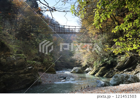 奥祖谷二重かずら橋（男橋） ／ 四国八十八景【徳島県三好市東祖菅生】 121451503