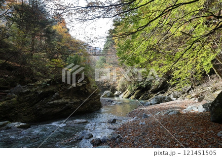 奥祖谷二重かずら橋(男橋) / 四国八十八景【徳島県三好市東祖菅生】 奥祖谷二重かずら橋(男橋) / 四国八十八景【徳島県三好市東祖菅生】 121451505
