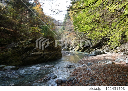 奥祖谷二重かずら橋（男橋） ／ 四国八十八景【徳島県三好市東祖菅生】 121451508