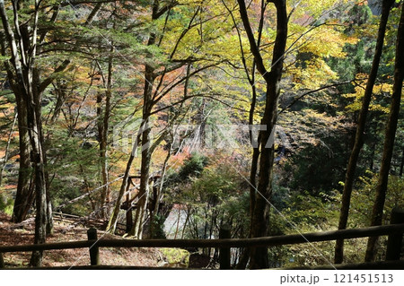 奥祖谷二重かずら橋(男橋) / 四国八十八景【徳島県三好市東祖菅生】 奥祖谷二重かずら橋(男橋) / 四国八十八景【徳島県三好市東祖菅生】 121451513