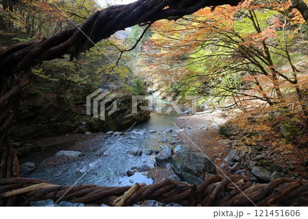 奥祖谷二重かずら橋（先に男橋） ／ 四国八十八景【徳島県三好市東祖菅生】 121451606