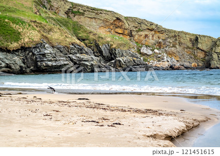 The beautiful beach at Muckross Head , County Donegal, Ireland. 121451615