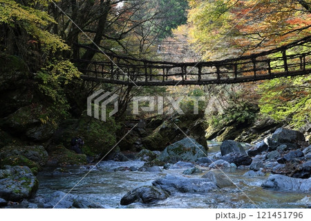 奥祖谷二重かずら橋（女橋<先に男橋>） ／ 四国八十八景【徳島県三好市東祖菅生】 121451796
