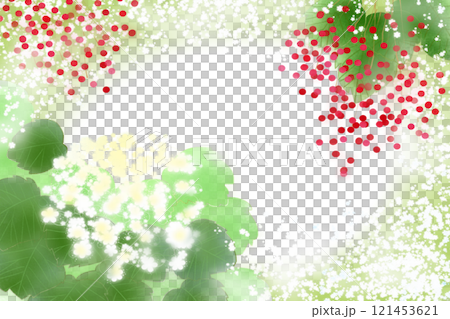 Viburnum flower and fruit card Viburnum flower and fruit card 121453621