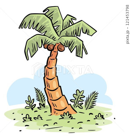 Tropical palm on white background 121453798