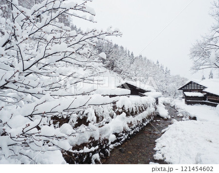冬景色に染まる乳頭温泉郷、鶴の湯温泉 冬景色に染まる乳頭温泉郷、鶴の湯温泉 121454602