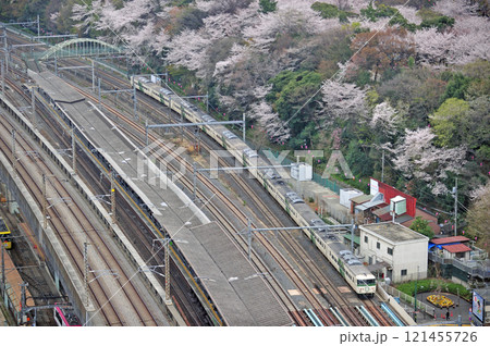 東北本線 尾久-赤羽 JR東日本 185系 A8編成(大宮) 草津 東北本線 尾久-赤羽 JR東日本 185系 A8編成(大宮) 草津 121455726