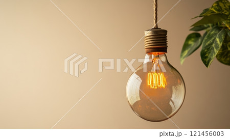 Vintage incandescent light bulb with plant on beige background, warm ambiance concept 121456003