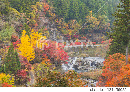 豊田市の大井平公園の紅葉した山と名倉川の風景(愛知県) 豊田市の大井平公園の紅葉した山と名倉川の風景(愛知県) 121456082