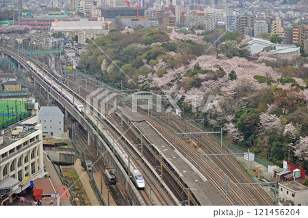 東北新幹線 上野-大宮 JR東日本 E2系(仙台)+E3系(山形) はやて やまびこ なすの 東北新幹線 上野-大宮 JR東日本 E2系(仙台)+E3系(山形) はやて やまびこ なすの 121456204