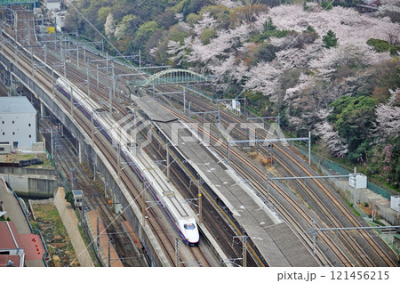 長野新幹線　上野－大宮　JR東日本　E2系　N21編成（長野）　あさま 121456215