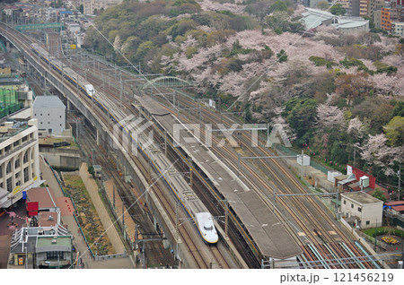 上越新幹線　上野－大宮　JR東日本　E4系　P81＋P3編成（新潟）　Maxとき　Maxたにがわ 121456219