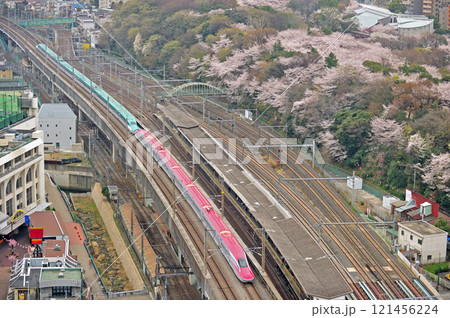 上越新幹線　上野－大宮　JR東日本　E6系　Z4編成（秋田）＋E5系　U21編成（仙台）　はやぶさ 121456224
