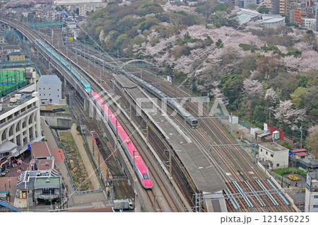 上越新幹線 上野-大宮 JR東日本 E5系 U15編成+E6系 Z5編成、E231系1000番台 上越新幹線 上野-大宮 JR東日本 E5系 U15編成+E6系 Z5編成、E231系1000番台 121456225