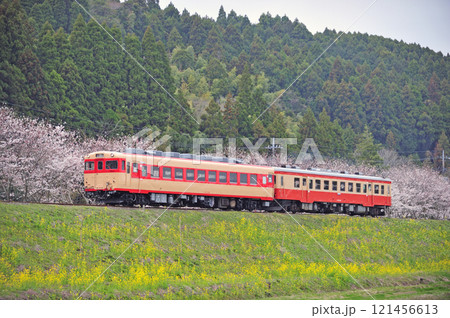 いすみ鉄道 新田野-上総東 キハ28-2346+キハ52-125 いすみ鉄道 新田野-上総東 キハ28-2346+キハ52-125 121456613