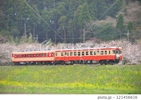 いすみ鉄道　上総東－新田野　キハ52-125＋キハ28-2346　そと房 121456616