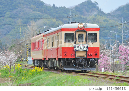 いすみ鉄道 東総元-久我原 キハ52-125+キハ28-2346 そと房 いすみ鉄道 東総元-久我原 キハ52-125+キハ28-2346 そと房 121456618