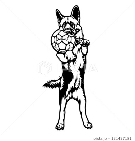 German Shepherd Dog Breed - Pet Vector Cut file, Dog Silhouette Stencil - Cricut file 121457181