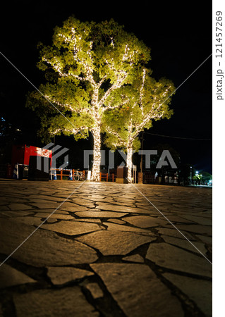 煌めく冬のイルミネーション 煌めく冬のイルミネーション 121457269