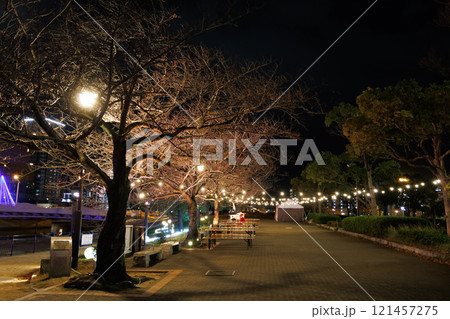 煌めく冬のイルミネーション 121457275