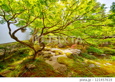 永観堂の南庭 121457619