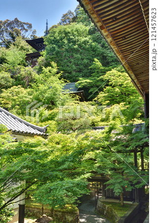 永観堂の多宝塔 121457623