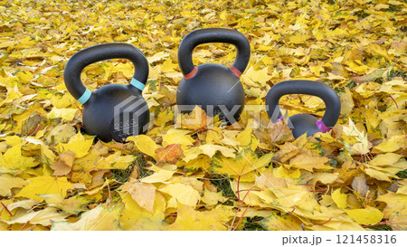 heavy exercise kettlebells in fall color leaves - outdoor fitness concept 121458316