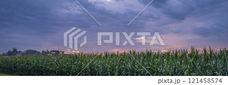panorama of a stormy sunset sky over corn field in Missouri panorama of a stormy sunset sky over corn field in Missouri 121458574